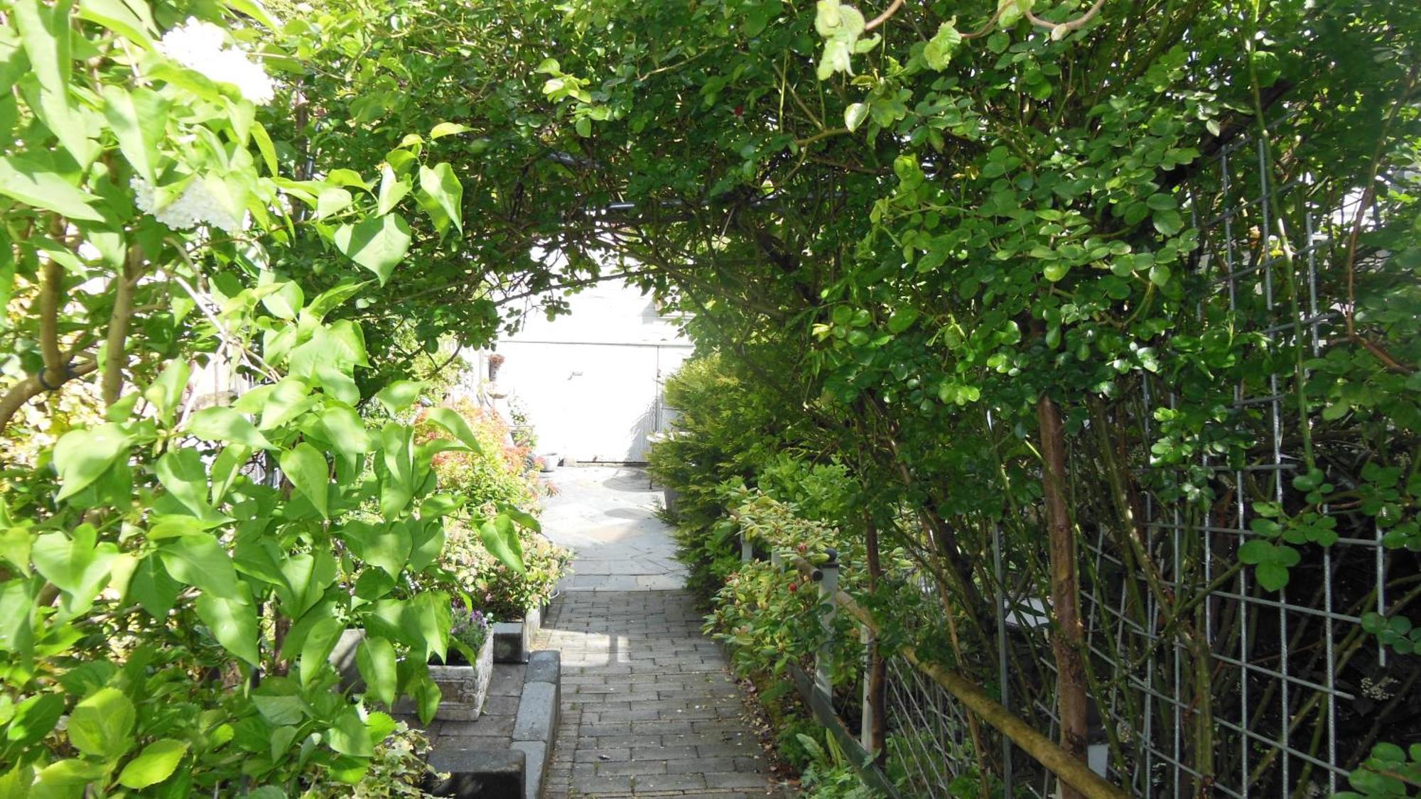 Munnik'S Hof Bed & Breakfast Amsterdam Luaran gambar